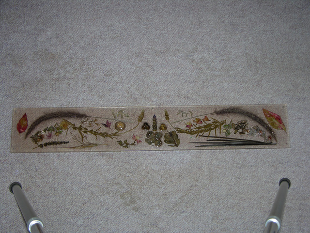 DSCN7273