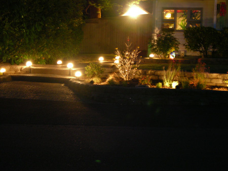 DSCN6362