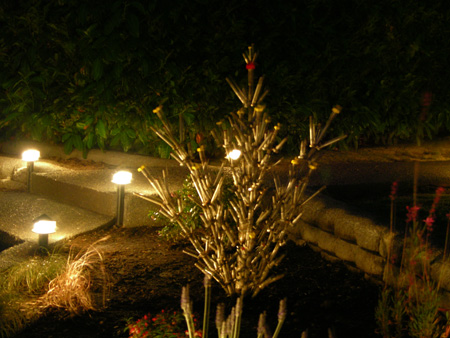 DSCN6363
