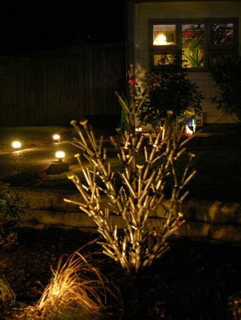 DSCN6364