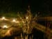DSCN6363