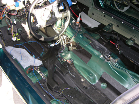 DSCN5909