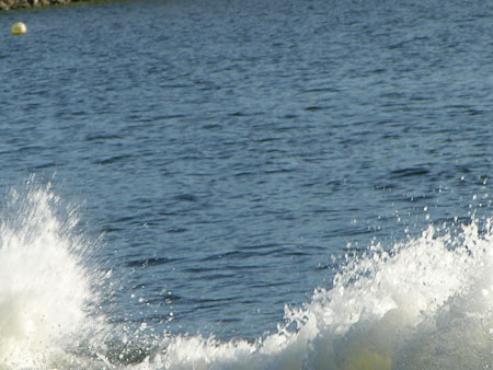 DSCN0052