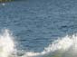 DSCN0052