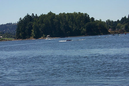 P0001513